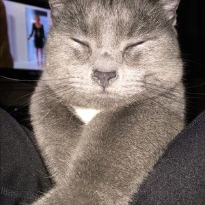 Meet your Posher, Jane